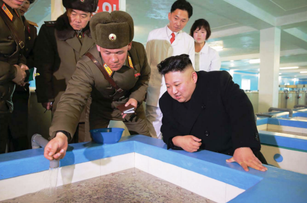 Ким Чен Ын посетил Самчхонскую сомоводческую ферму